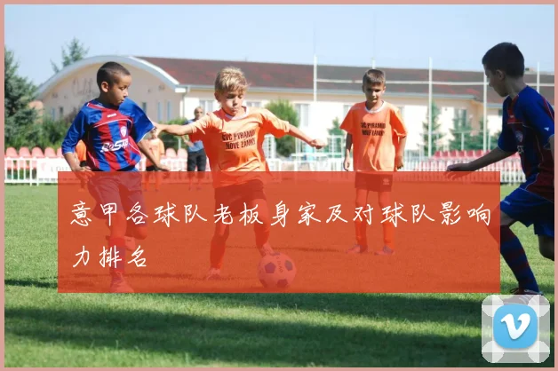 意甲各球队老板身家及对球队影响力排名