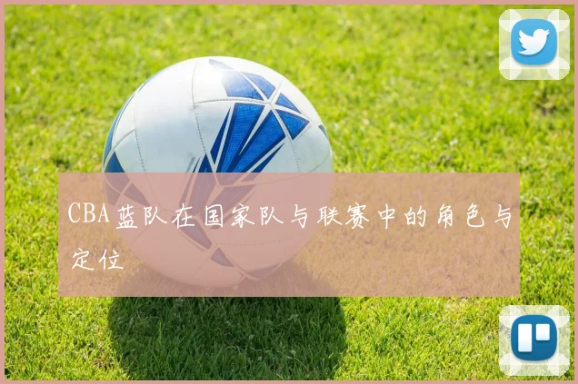 CBA蓝队在国家队与联赛中的角色与定位