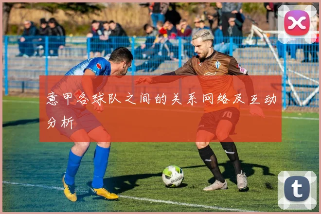 意甲各球队之间的关系网络及互动分析