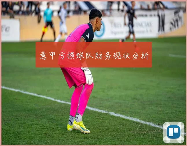 意甲亏损球队财务现状分析