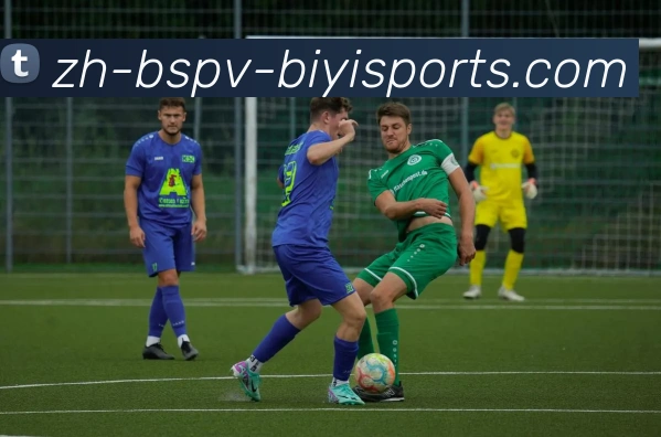 App Interface Preview